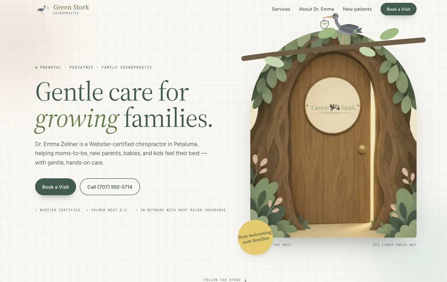 Green Stork Chiropractic website design preview